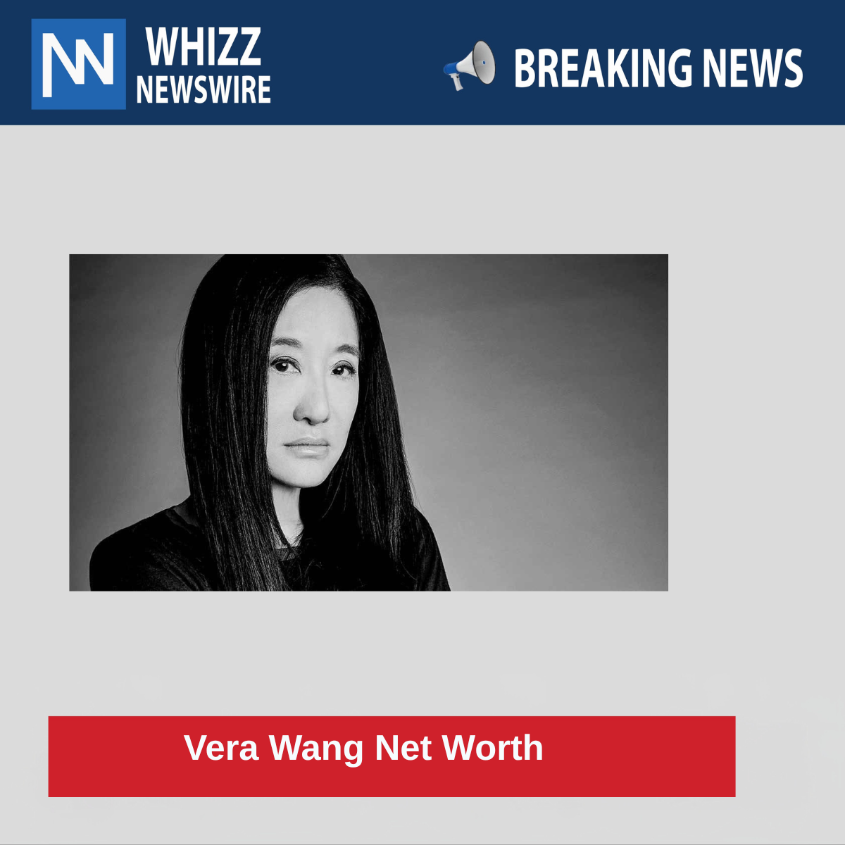 Vera Wang Net Worth 