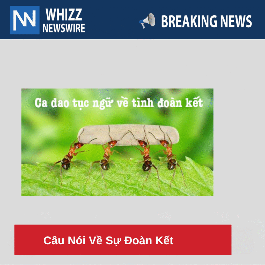 Câu Nói Về Sự Đoàn Kết