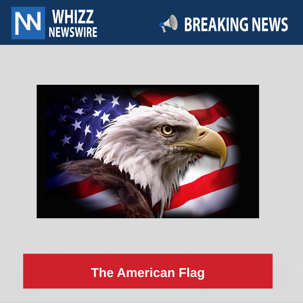 The American Flag
