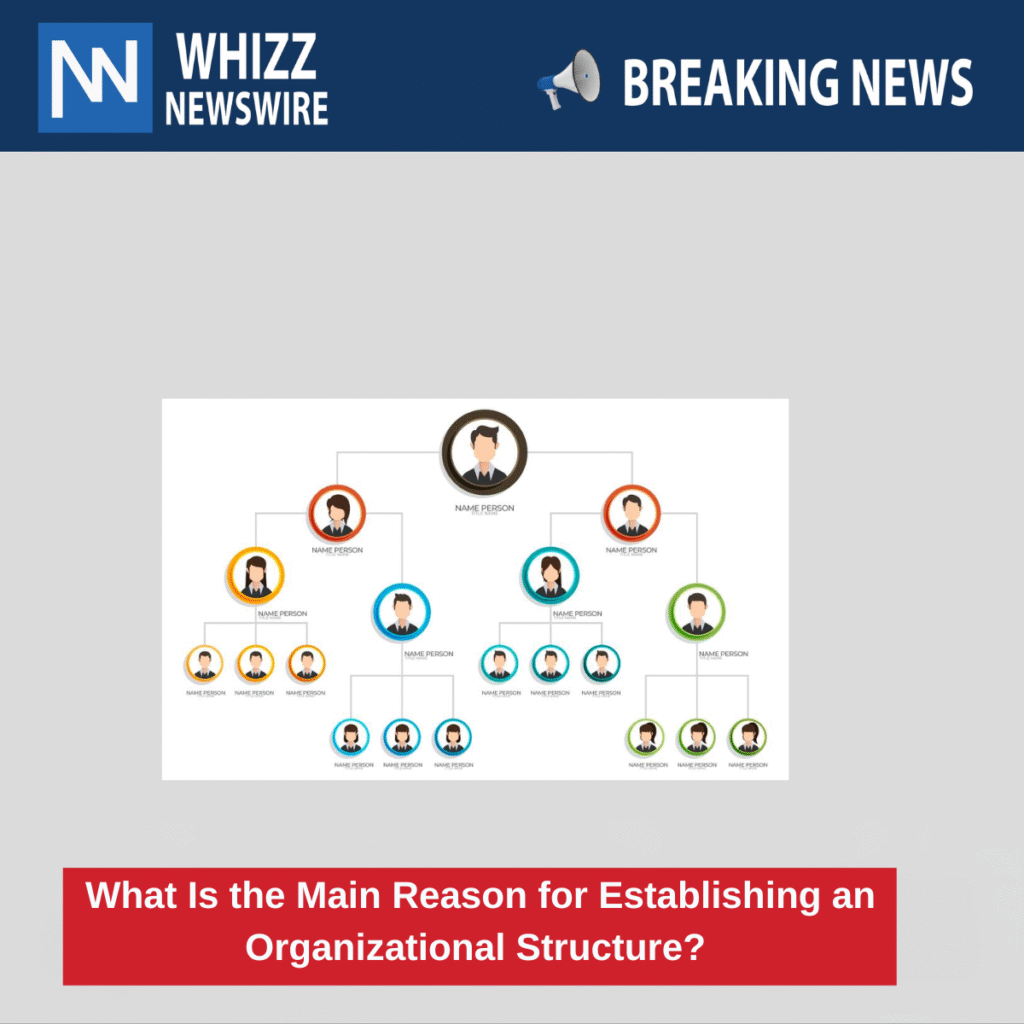 What Is the Main Reason for Establishing an Organizational Structure?