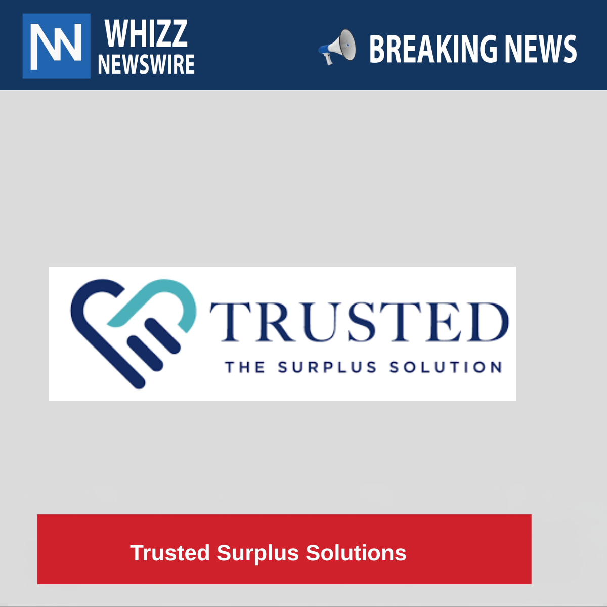 Trusted Surplus Solutions 
