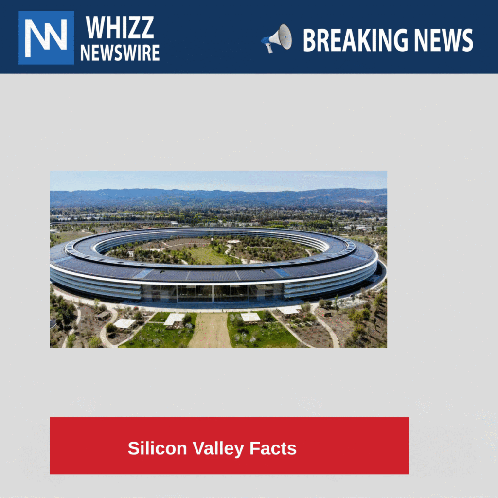 Silicon Valley Facts