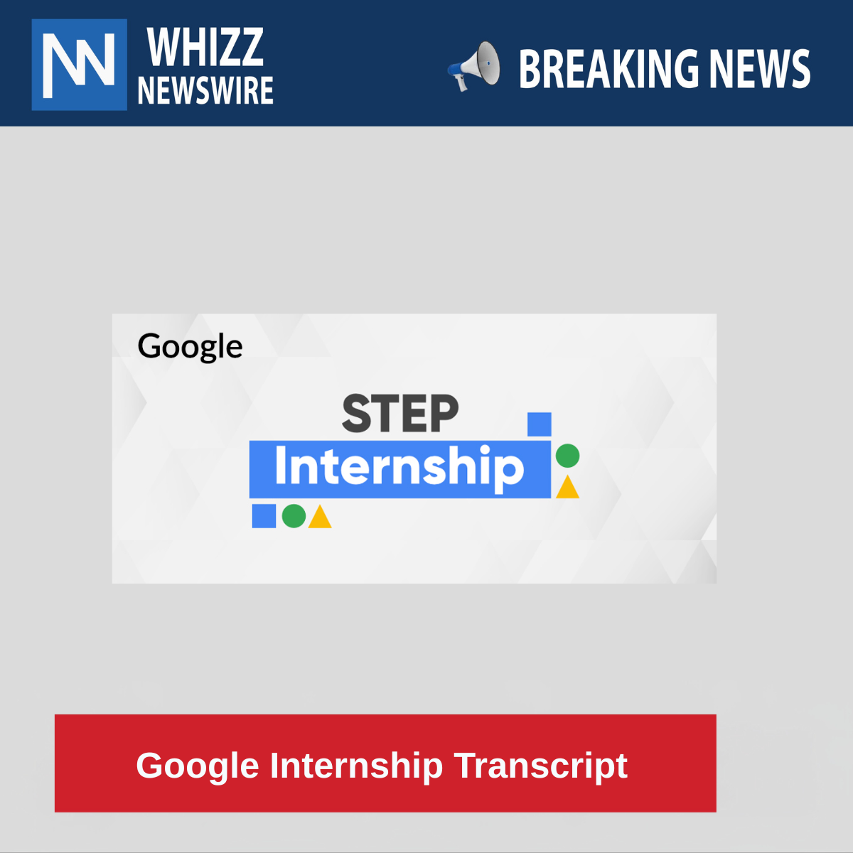 Google Internship Transcript 
