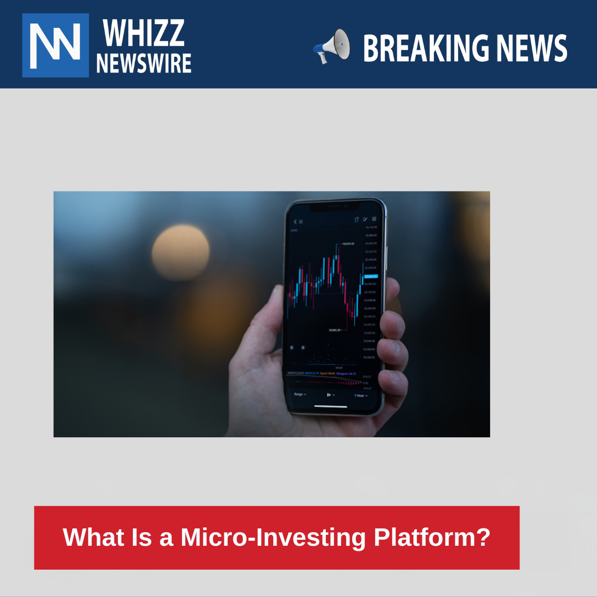  What Is a Micro-Investing Platform? 