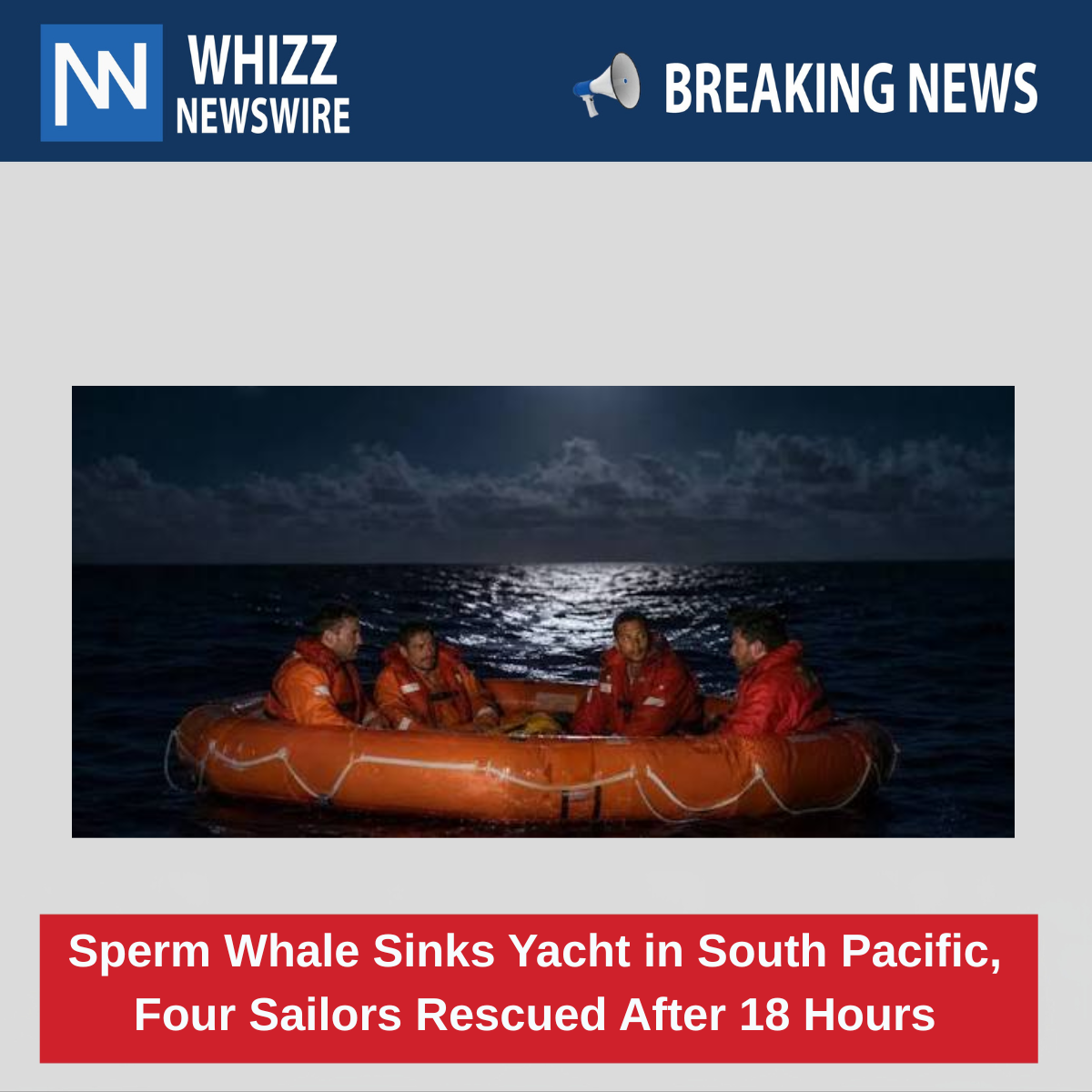 Sperm Whale Sinks Yacht in South Pacific, Four Sailors Rescued After 18 Hours