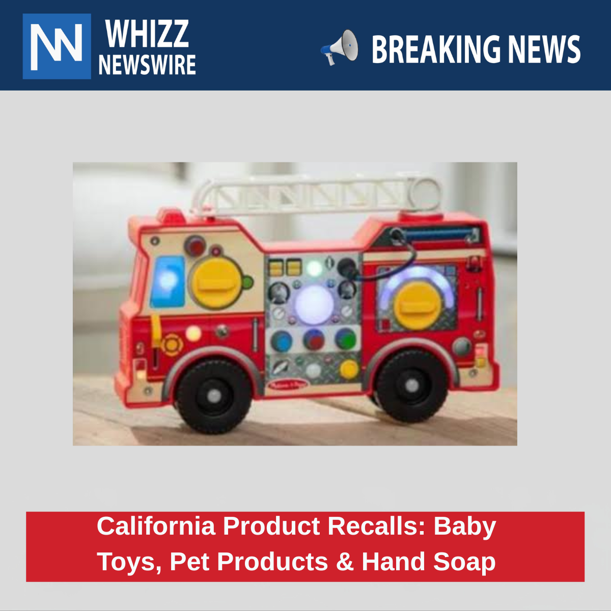 California Product Recalls: Baby Toys, Pet Products & Hand Soap
